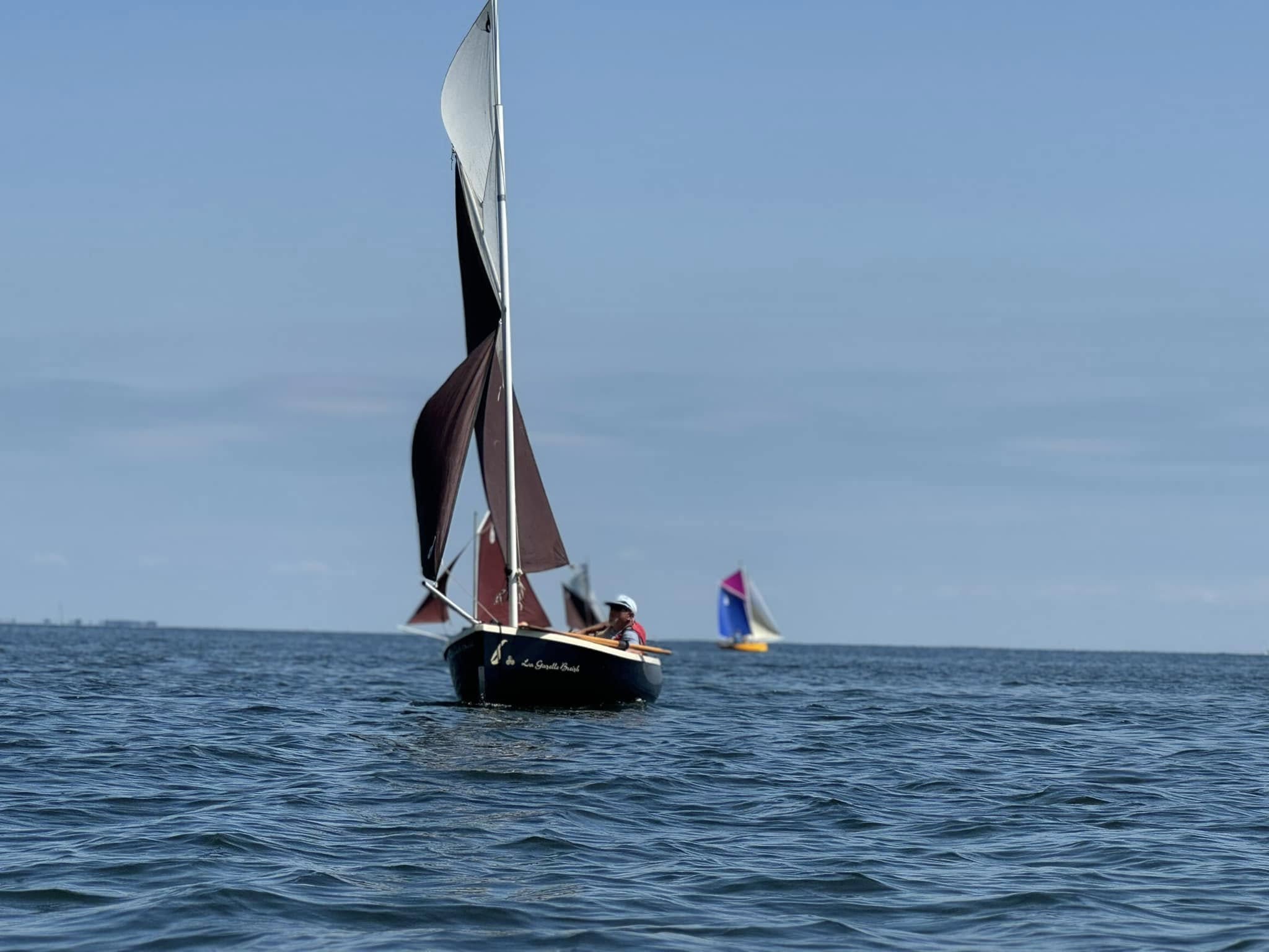 La Gazelle Breizh (model 2025 version 1) - Image 22