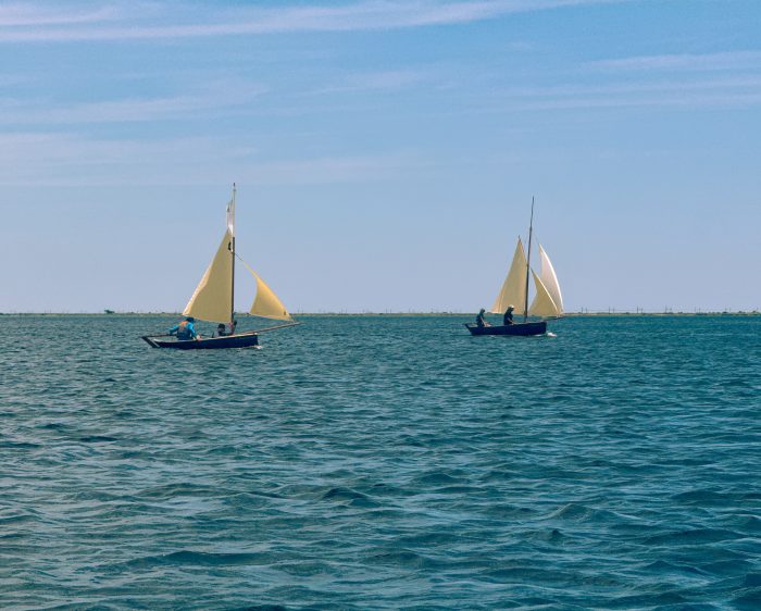 La Gazelle des îles – Image 11