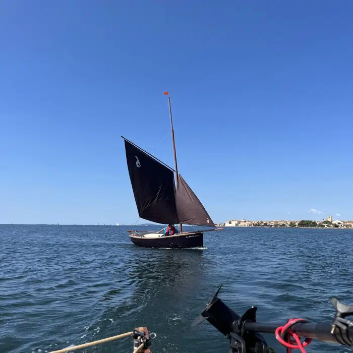La Gazelle des îles – Image 14