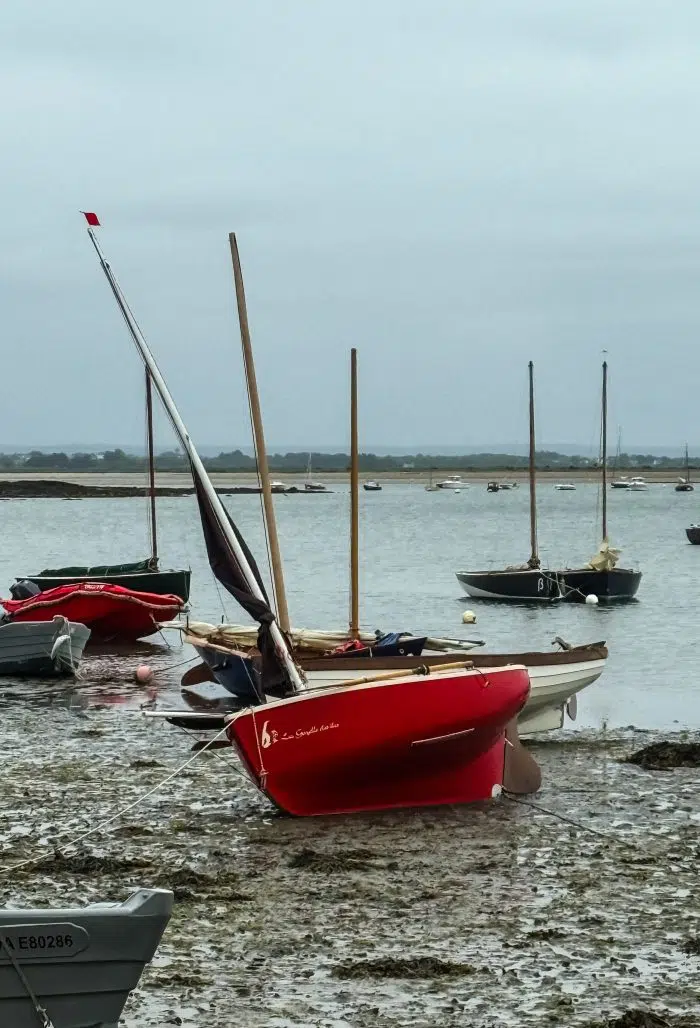 La Gazelle des îles – Image 20