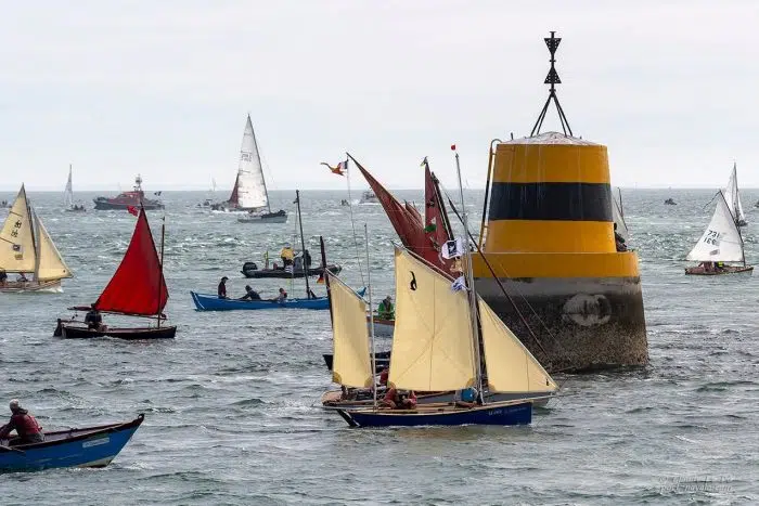 La Gazelle des îles – Image 2
